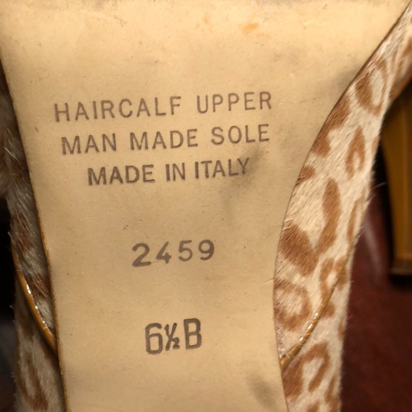 Massimo Baldi - Picture 5 of 5